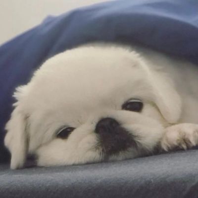 

<p>人到中年事业成功，你到中年成功失业。</p>