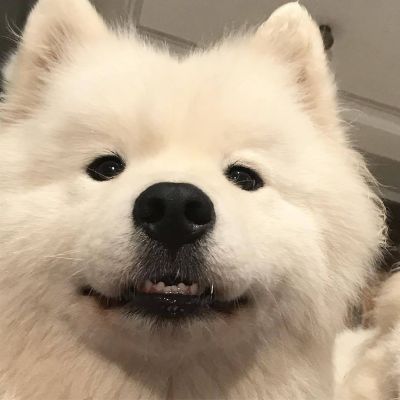 <p>人，是要靠忘掉回忆才能活下去的。但有些事，是绝对不能忘记的。只要活着，哪里都是天堂。</p> - 卡通头像 - 12