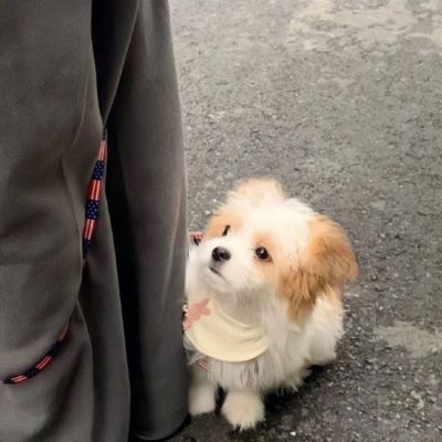 没有任何力量能毁了下一代，除了不懂时代的上一代。