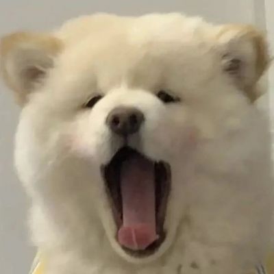 <p>学到很多东西的诀窍，就是一下子不要学很多。</p>