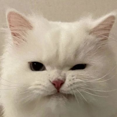 <p>有个人丁丁很短于是…他去学了拉丁舞</p>
