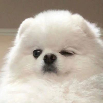<p>人与人的邂逅充满了神奇，各种刑案更是迷题重重，能够遇到你真是有缘……</p>