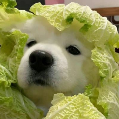 
<p>今后你也会喜欢各种各样的人，正因为活着才能这样。</p>