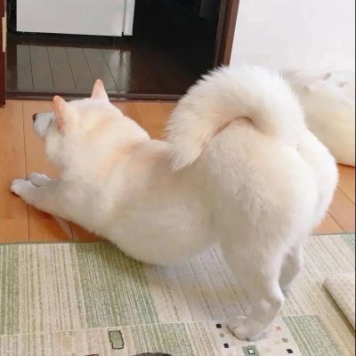 <p>人生之所以难，是因为每个人的人生都不一样</p>