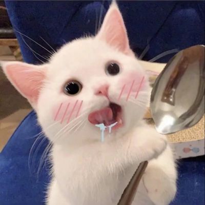 <p>一只狮子率领的羊群，可以打败一只羊率领的狮群。</p>