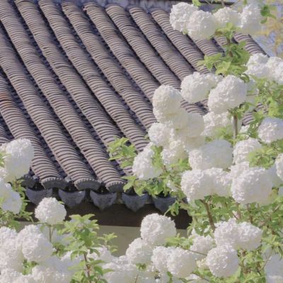 <p>如果你饿了，打电话给我，我嚼点零食给你听。</p>