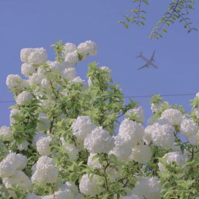 <p>如果注定弱小的话，那么就算是死，也不会有任何改变。</p>