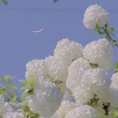 <p>他偷走了非常贵重的东西，那就是你的心。</p>