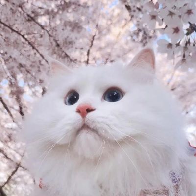 抓不住的东西，伸手都多余。