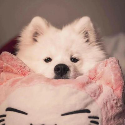 

<p>神是绝对不会惩罚人类的，只是在玩弄而已。</p>