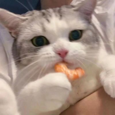 <p>人看不到现实的本来面目。只能看到想看的、想拥有的现实。</p>