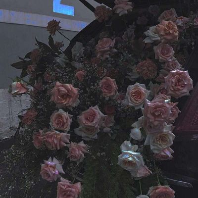 哭也不会改变什么，这个世界从来不会对任何人温柔。
