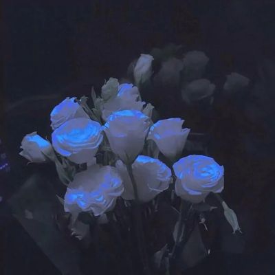 <p>失败的人只有一种。就是在抵达成功之前放弃的人</p>