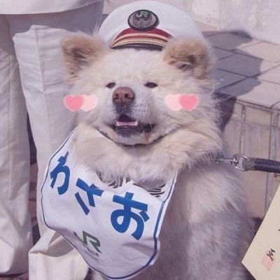 <p>遇到困难的三个步骤，面对它 处理它，放弃它。</p>