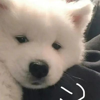 <p>为了能尽情做自己想做的事情，不想做的事情也必须全力去做才行。</p>
