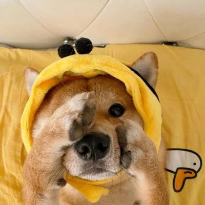 <p>反正横竖都是死，那就死得荡气回肠吧！</p>