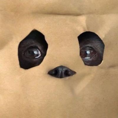 <p>什么样的心，怎样的感受，表达力度差距如何巨大的情感，最终都指向同一结局。</p>