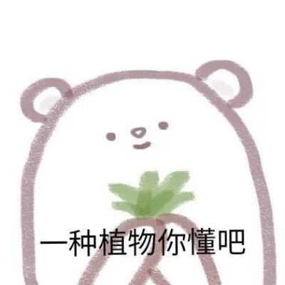<p>不仅仅是太少，就算说没有也不为过。</p>