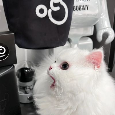 

<p>以后爱的就只有你了</p> - 卡通头像 - 12