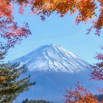 <p>人不患不知人，患不知己。——知乎</p>
