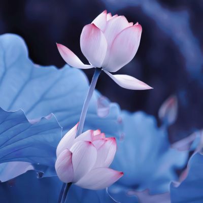 <p>最新名词解释，“别来无恙”，你别来我就不会生病。</p>