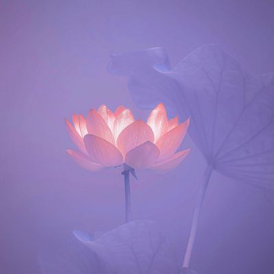 <p>俗话说愚者学经验，贤者学历史，我祈祷你不是愚者。</p>