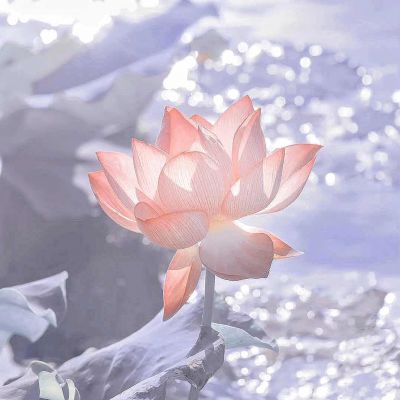 我所描绘的一切或许并非真实，然而我的感受绝无虚假。