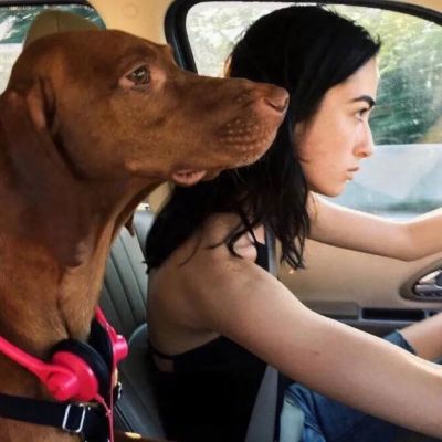 <p>这世界上最靠不住的就是人心！自己的命运，总要把握在自己手里才放心，总不能全部寄托指望于别人的仁慈之心。</p> - 卡通头像 - 12