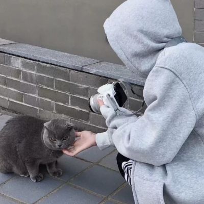 <p>心有猛虎，细嗅蔷薇，蔷薇说我口气好大。</p>