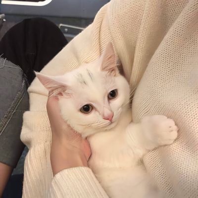 <p>我被生活磨光了棱角，简单的说就是，我被生活盘了。</p>