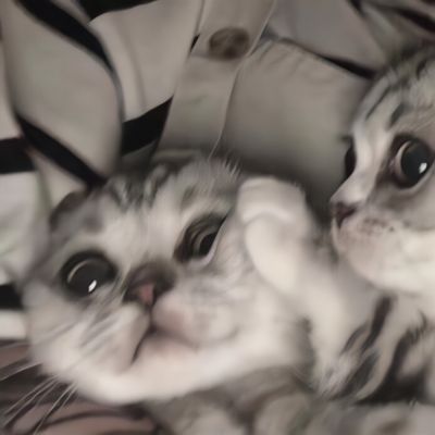 <p>要么忙着生存要么赶着去死，人总要做点什么。——肖申克的救赎</p>