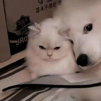 <p>我是个干净的人，既没有恋爱的酸臭，又没有金钱的铜臭。</p>