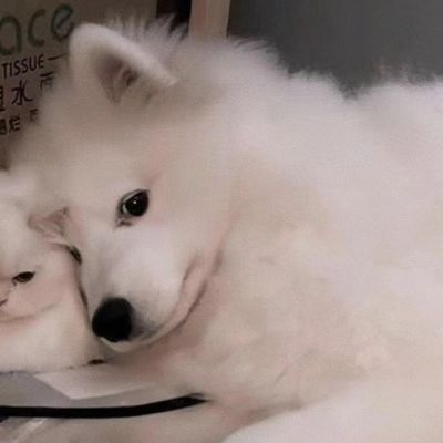 我可是个面壁者，怎么能随便告诉你呢？