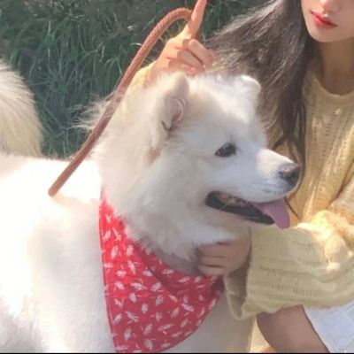 <p>若不是你突然闯进我生活，月底我至少能剩下两百多。</p>