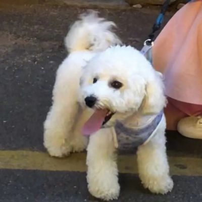 <p>我有一个梦想，遇你，纤风，共夕阳</p>