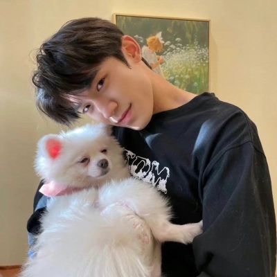 <p>只有狡猾之人才能生存的世界才让人觉得可悲...正直，坦率，努力...这并非是愚蠢。</p>