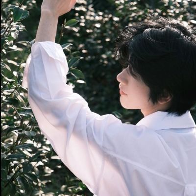<p>世界上除了父母，对你最真心的就只有骗子，他是真心的想骗你。</p>