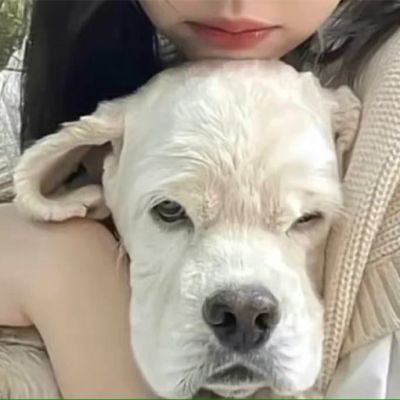 <p>算了吧，向你这样的即使把土豪两个字贴在脸上，别人也会从右读起。</p>