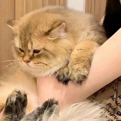<p>不炫耀，因为不自卑。</p>