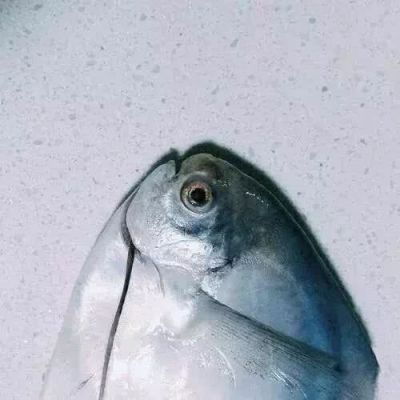 
<p>契约者不会做梦。——黑之契约者</p>