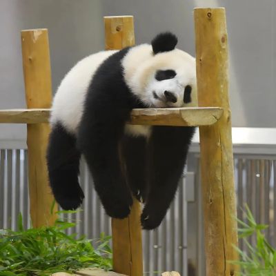 <p>生活有两大误区，一是活给别人看，二是看别人活。</p>