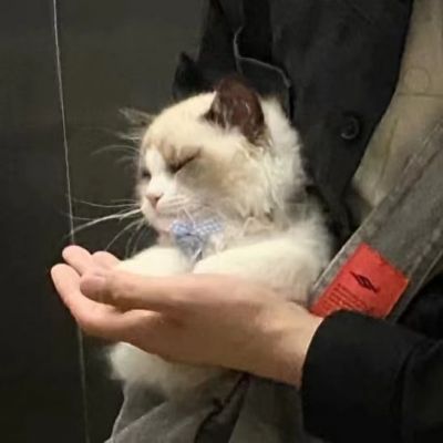 <p>把自己当傻瓜，不懂就问，你会学的更多</p>