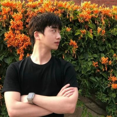 

请相信我，我所说的每句话，都是废话！
