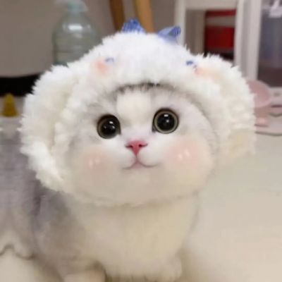 <p>我想要握紧的并不是匕首或是什么，只不过是他的掌心而已。</p>