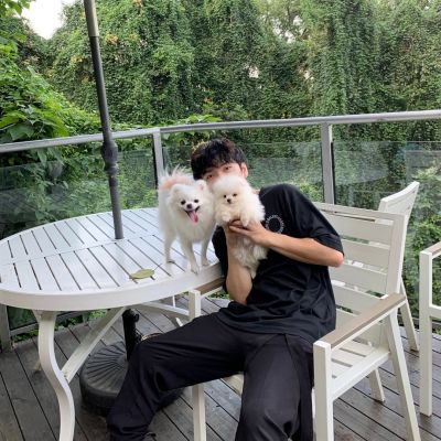 

<p>过马路不要带耳机，万一要是被车撞上，耳机不就坏了么？</p>