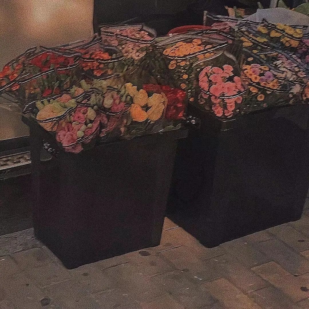 <p>每一天都是一个全新的开始</p>